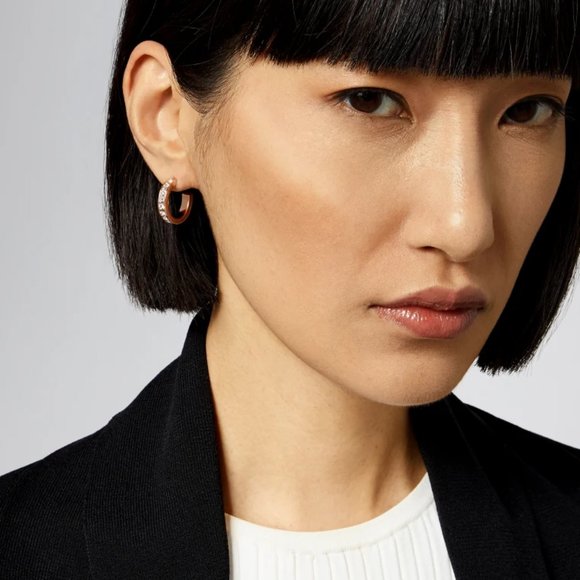 NEW Ted Baker Seanna Crystal Small Hoop Earrings - Picture 2 of 11